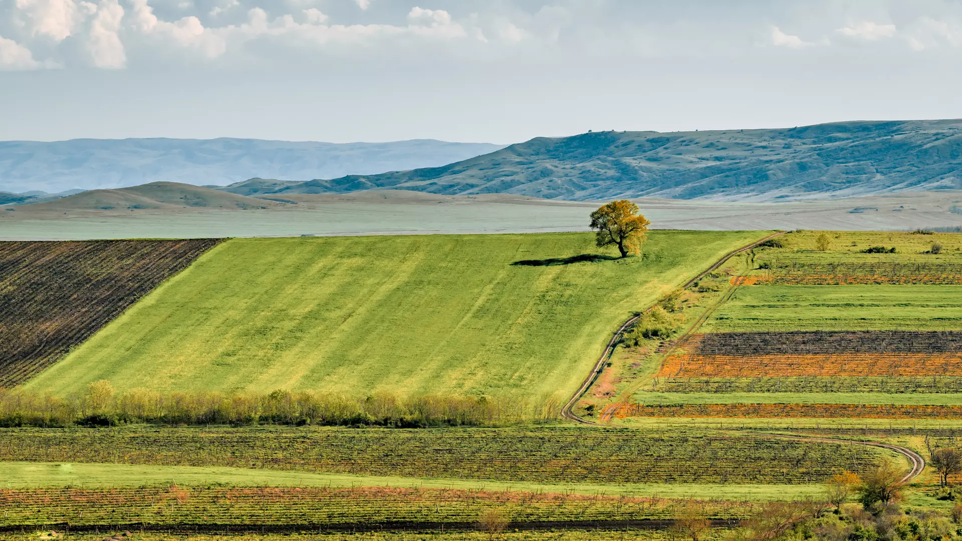 Kakheti - Wine Country - Thumbnail 5