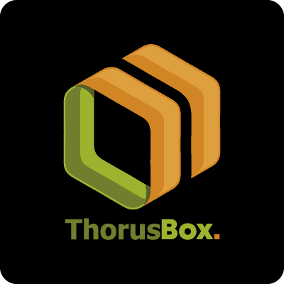 Thorus Box logo