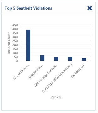 image of Top 5 Seatbelt Violations Report