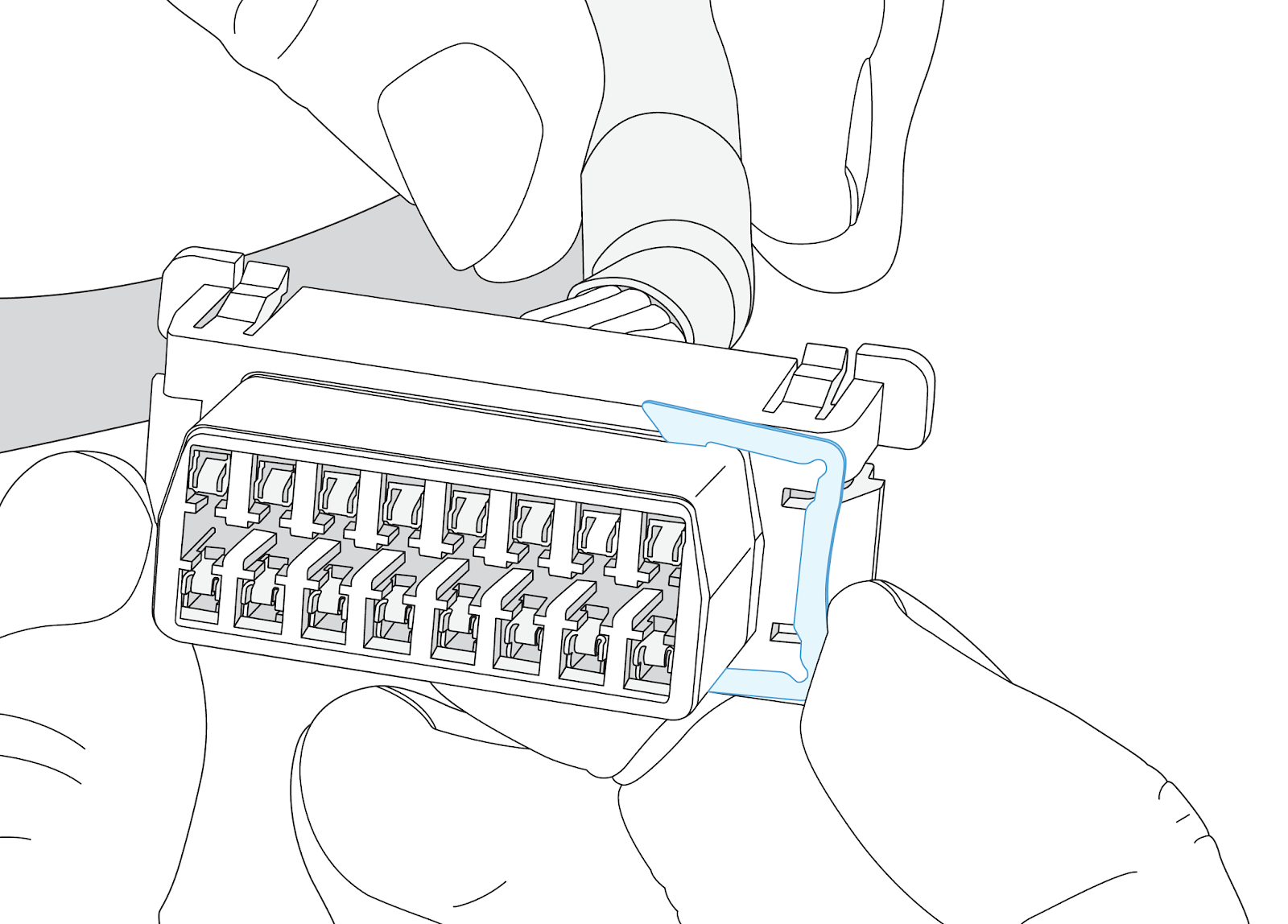 IMG_8252(v2).png