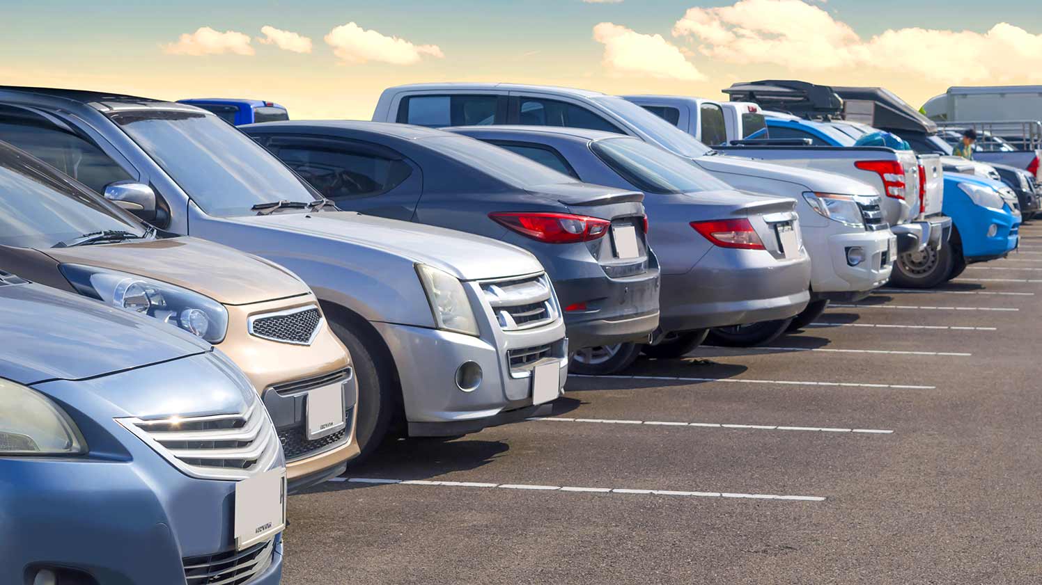 Mix of SUVs, trucks, and cars lined up in a parking lot