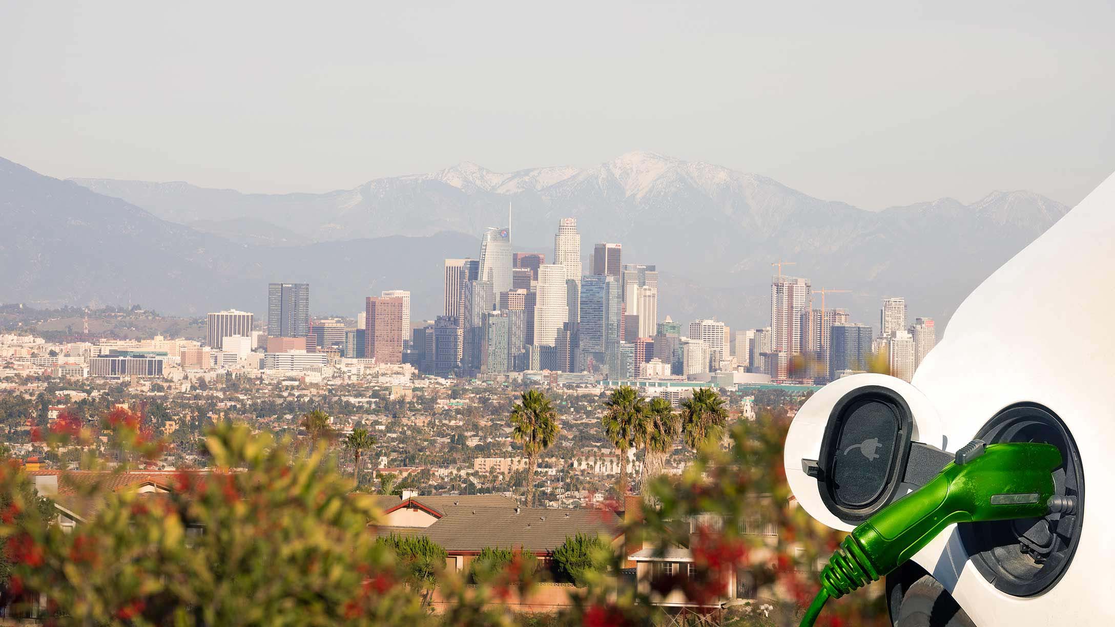 California Electric Vehicle