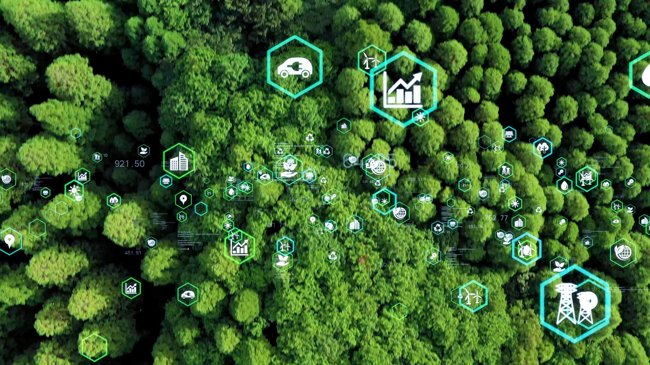 Imagen aérea de pinos verdes, con íconos de telemetría