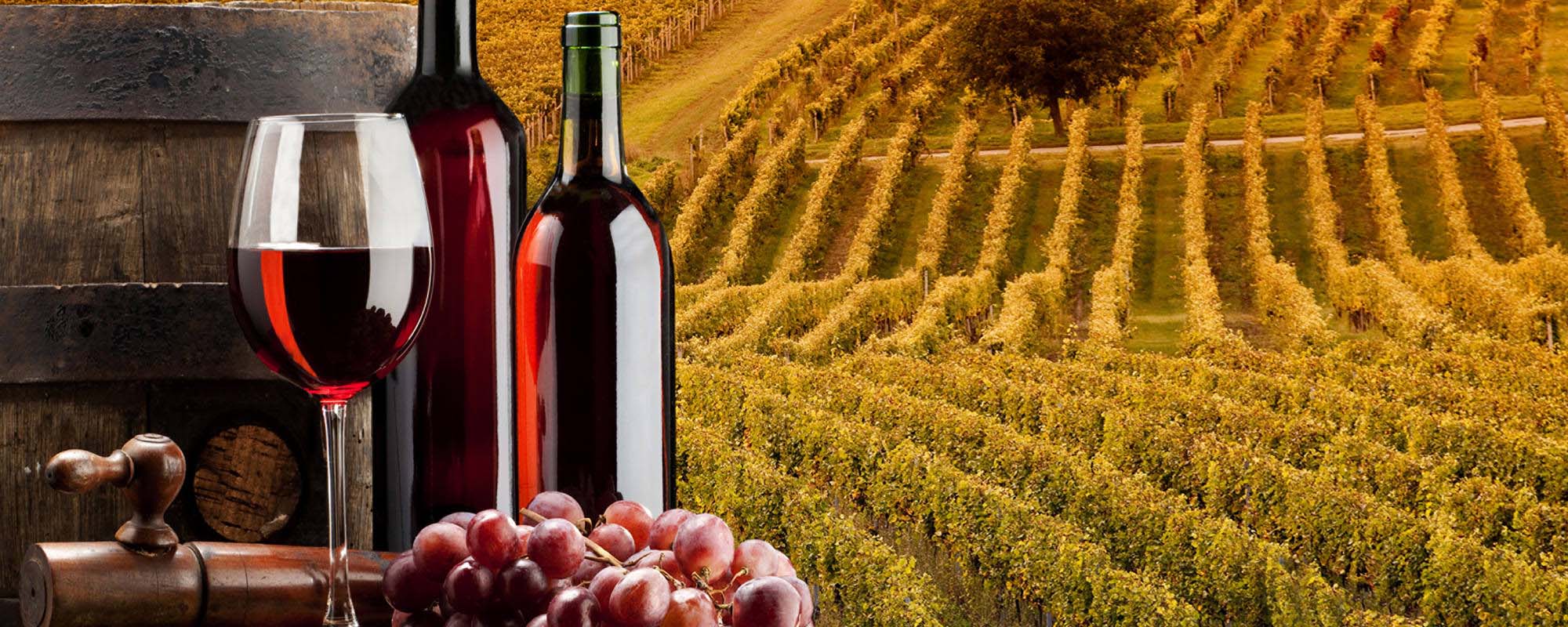Wine bottles, wine glass, and grapes beside a field 