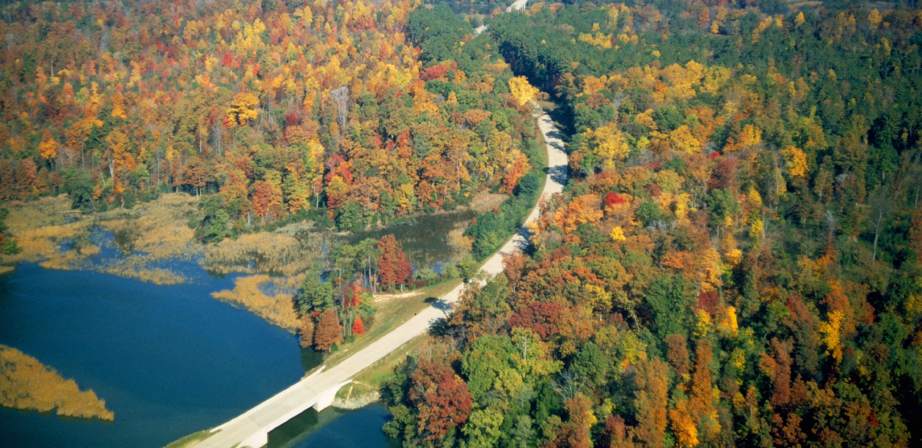 Photograph of State Route 90003 in Virginia