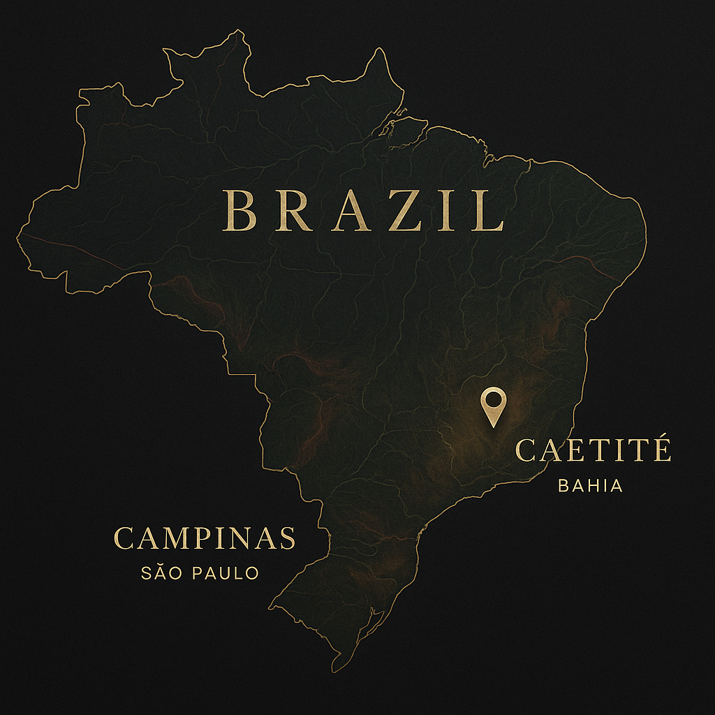 Mapa ilustrado do Brasil destacando o Riacho de Campinas, distrito de Caetité, na Bahia, com pinos dourados conectando o engenho Etxebarri a outras cidades