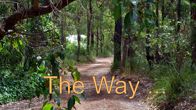 The Way