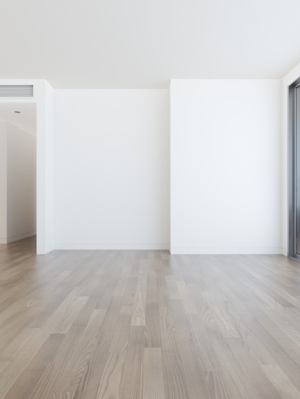 Right image for compare