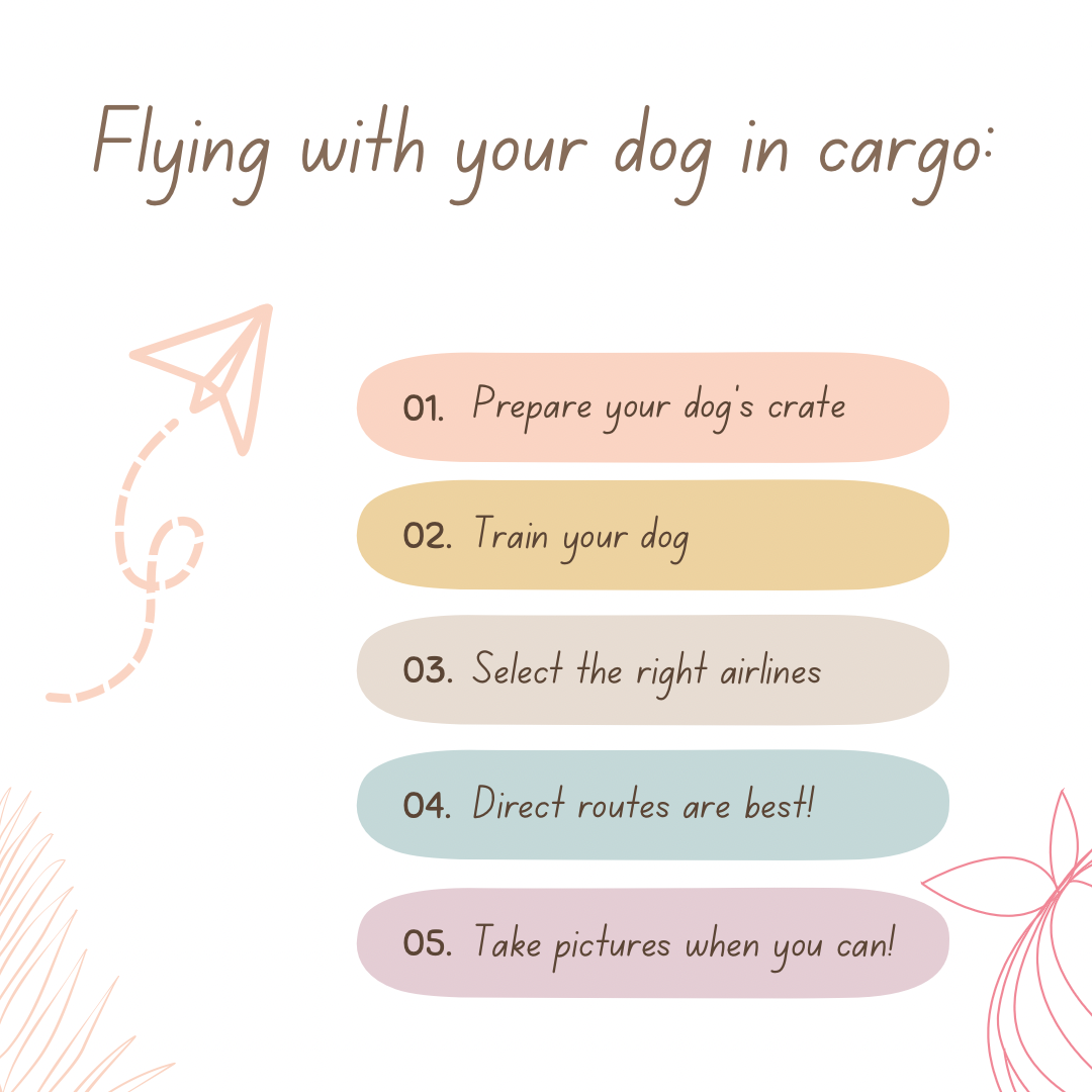 Flying with your dog in Cargo!