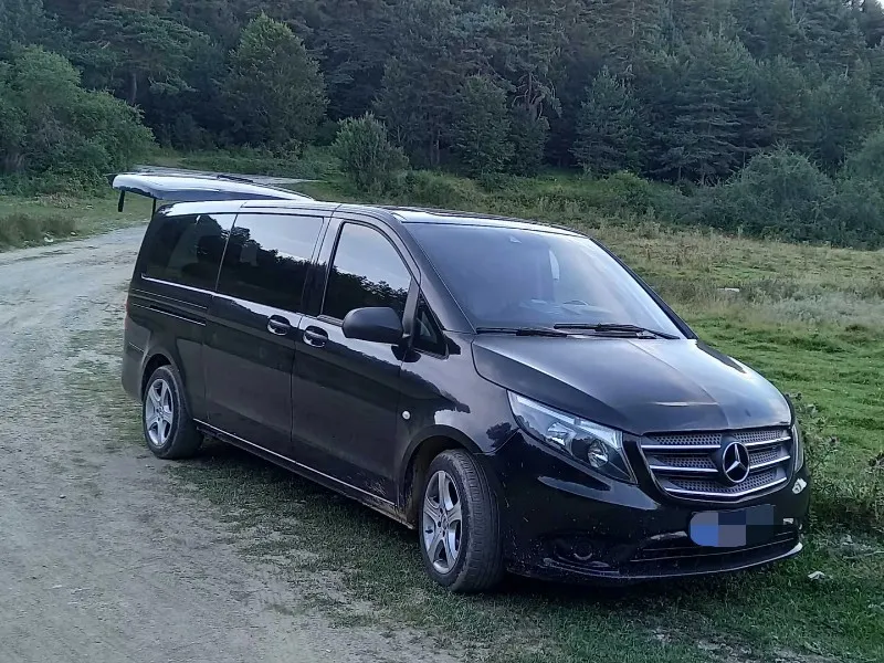Fethiye Premium Minivan Transfer