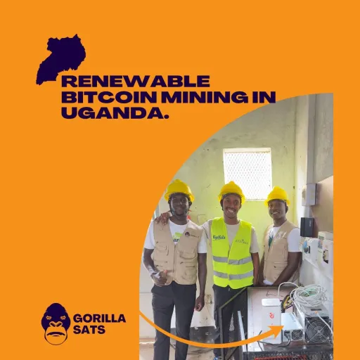 🌍🦍 Gorilla Sats: Renewable Bitcoin Mining in Uganda.'s avatar