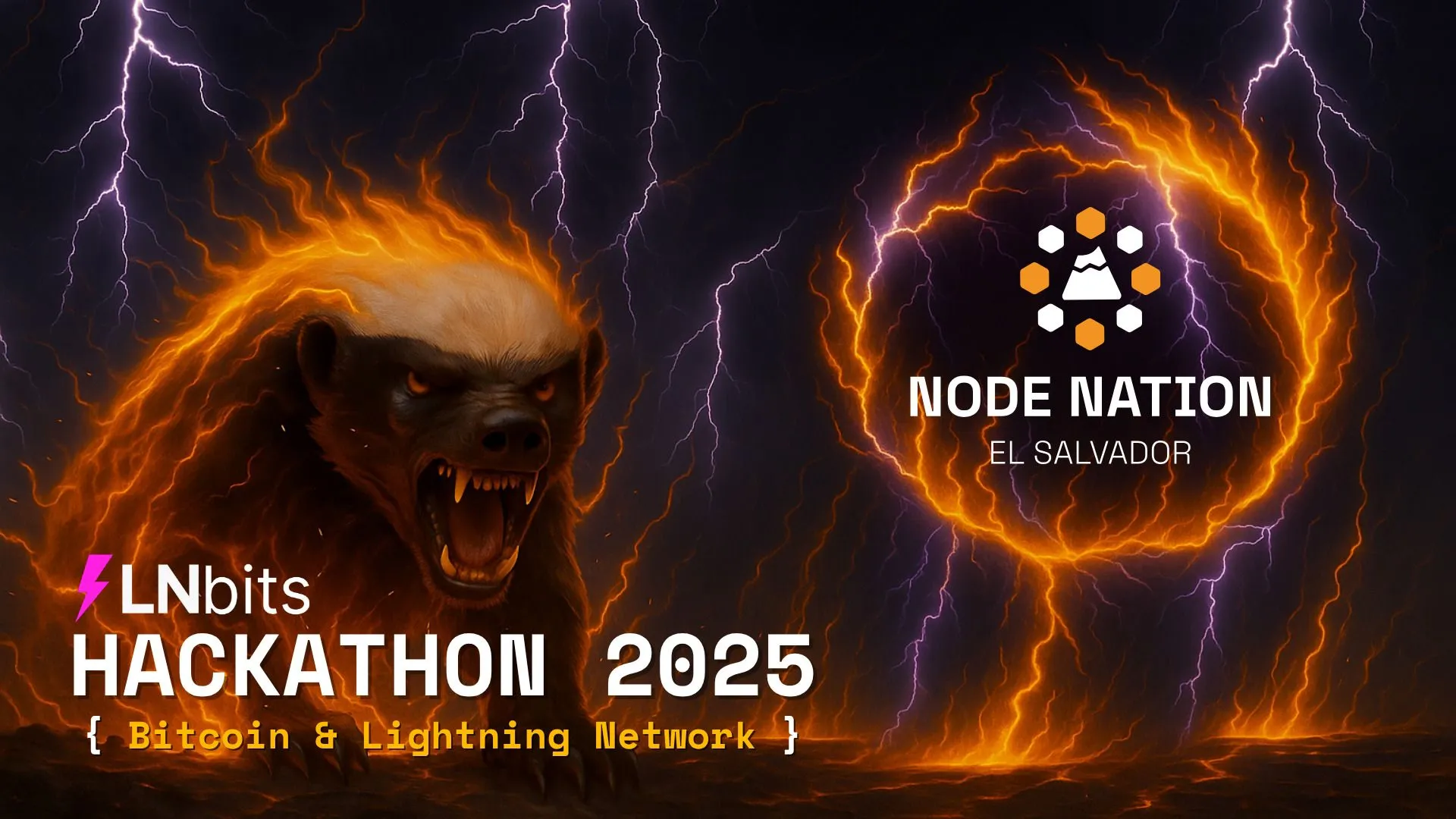 How 250 Students, 40 Schools, and One Vision Turned an LNbits Hackathon into a Movement