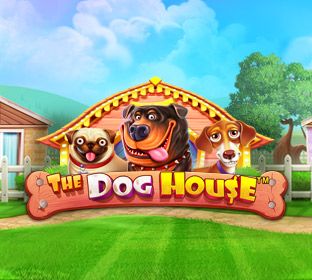 The Dog House