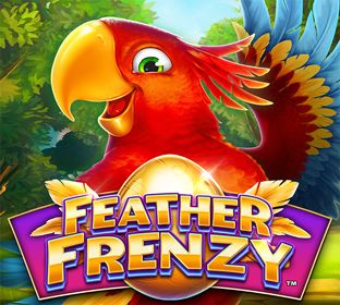 Feather Frenzy