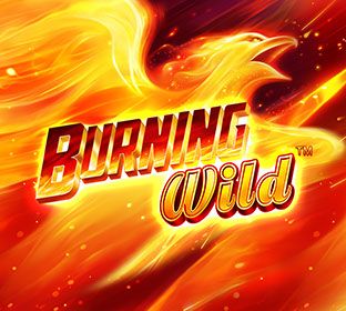 BURNING Wild