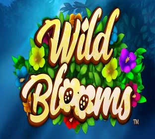 Wild Blooms