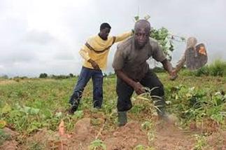 Farmers benefit from coronavirus response under TAAT programme
