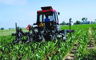 Focus more on agric sector investment to improve economy
