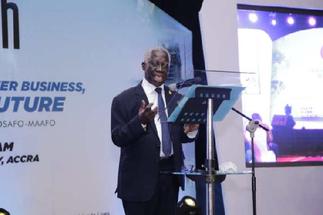 Osafo-Maafo caused a lot of problems for Akufo-Addo