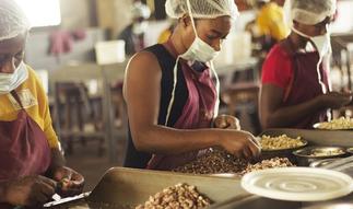 Business owners urged to make investments in digital technology