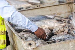 Kumasi: Dumsor is collapsing our business