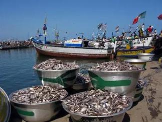 Fisheries Commission condemns illegal fishing methods in Central Region
