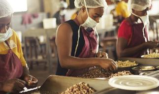 Time to heavily invest in SMEs to drive economic growth