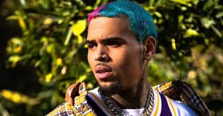Chris Brown's 32nd Birthday Party Broken Up by LA Police Force ▷ Ghana news