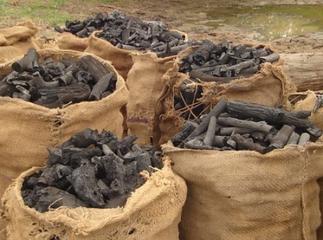 Charcoal burning the only alternative livelihood for rural women
