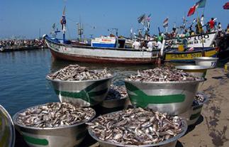Fisheries ministry, Commission announce 2021 closed season