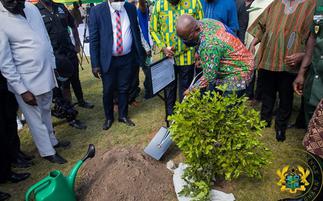 Green Ghana Day initiative won't be a one-off event
