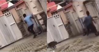 Moment boy being chased by a dog jumped over a high fence without touching it » GhBasecom™