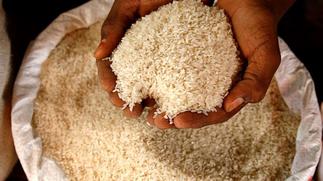 Eat Ghana Rice campaign: Farmers record hike in sales almost two years on – Citi Business News
