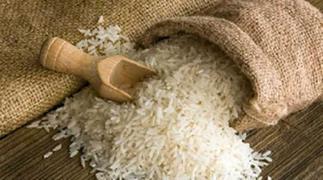 Rice growers appeal to government