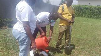 Appolonia City supports Green Ghana Project by planting 500 trees – Citi Business News