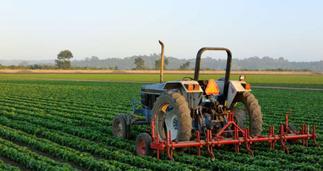 Coronavirus: 78,413 agribusinesses workers lost jobs after lockdown period