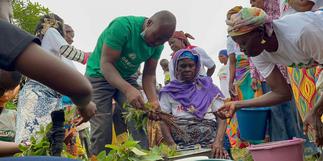 Green Ghana Day: Global Shea Alliance to plant 10 Million shea trees across West Africa