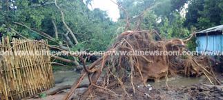 Rains cause havoc at Tafi Atome Monkey Sanctuary
