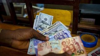 EXPLAINER: Understanding the exchange rate