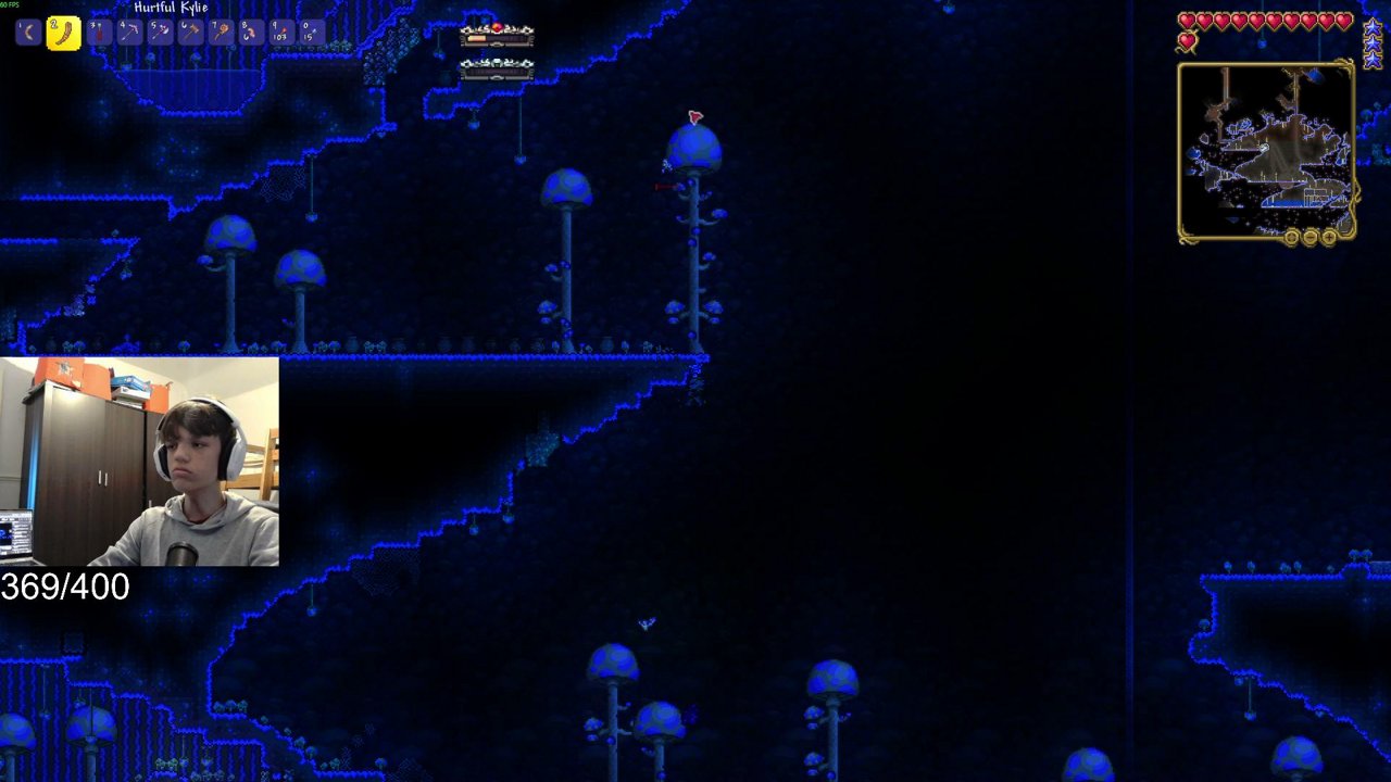 TunkyWunkys Streams Terraria