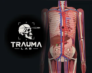 Trauma lab: Precision Ballistics Meet Anatomical Destruction in This Physics Sandbox