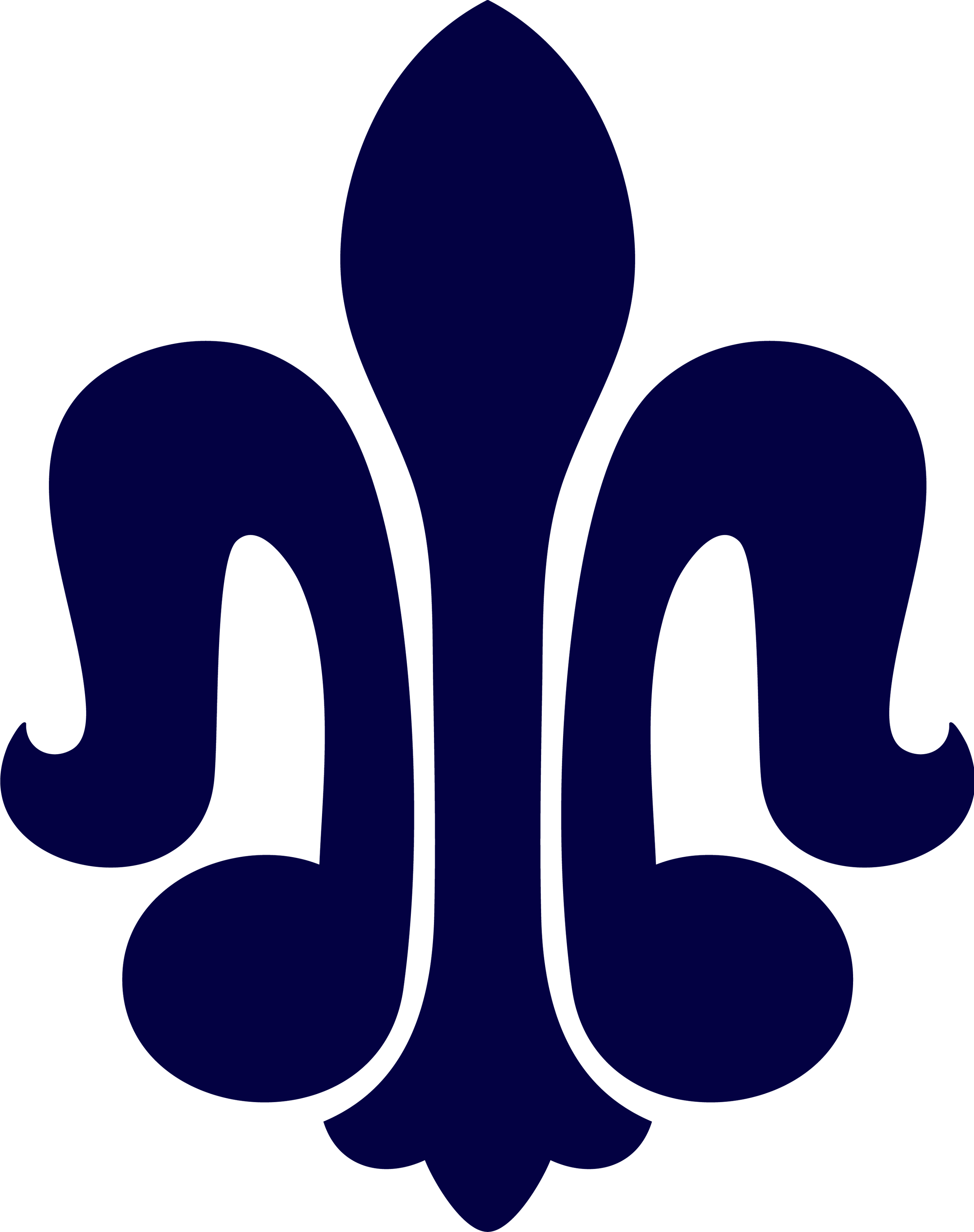 Saint Peter High School logo