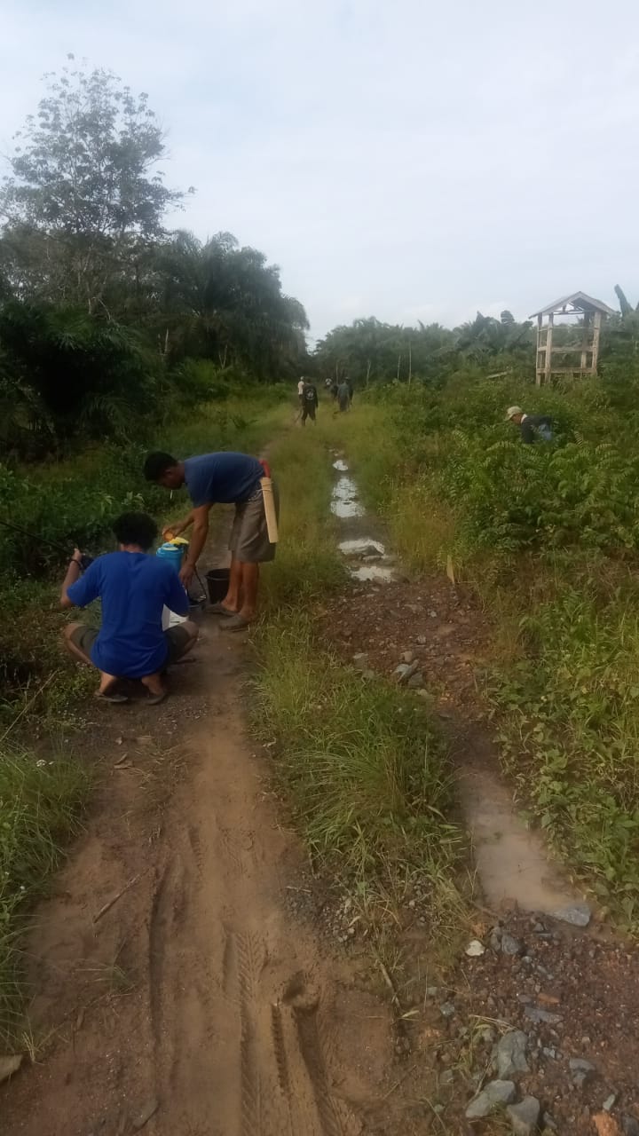 Gambar Berita