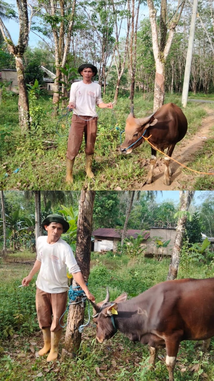 Foto Berita