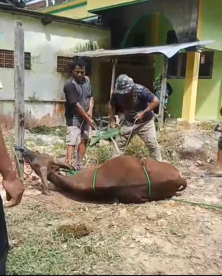 Foto Berita