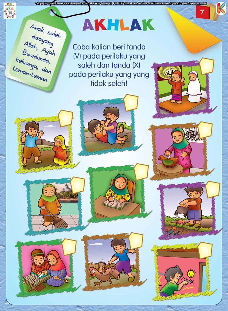 apa aja