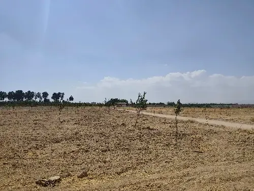 Residential Land 6000m²