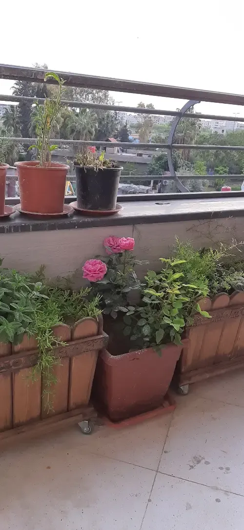 3BR Residential Apartment