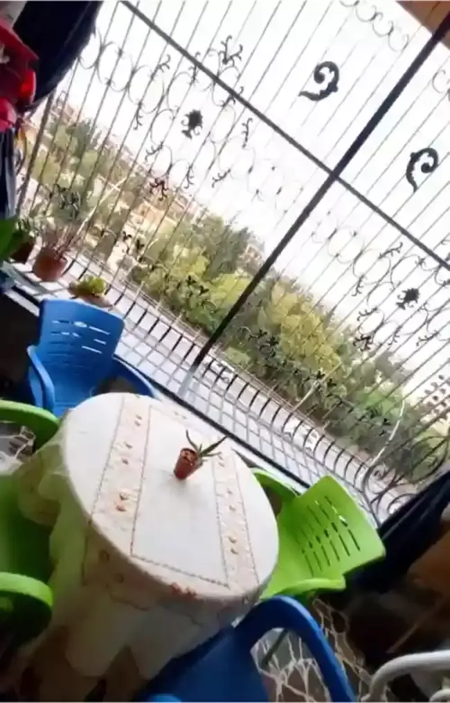 شقة سكنية 3 غرف