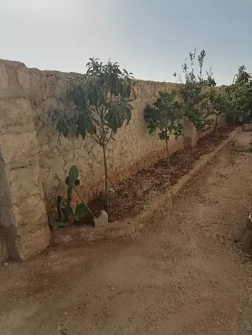 أرض سكنية 500 م² – photo 5